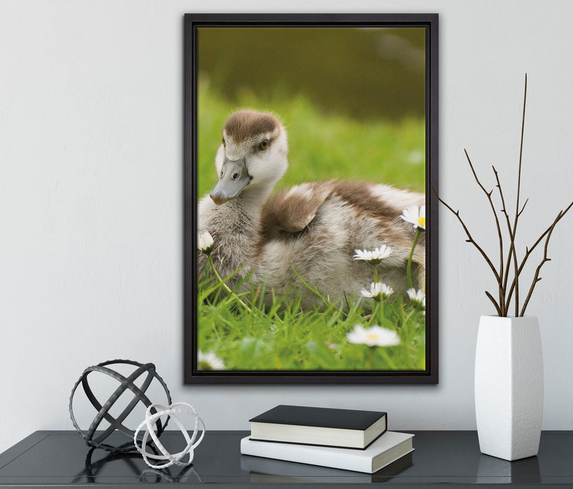 Enten auf Wiese auf Leinwandbild gerahmt mit Kirschblüten
