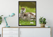 Enten auf Wiese auf Leinwandbild gerahmt verschiedene Größen im Wohnzimmer