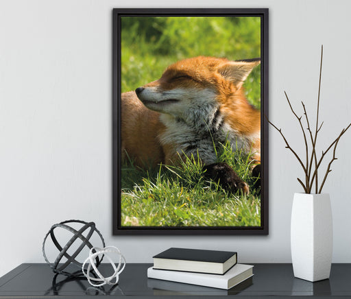 Fuchs im Gras auf Leinwandbild gerahmt mit Kirschblüten