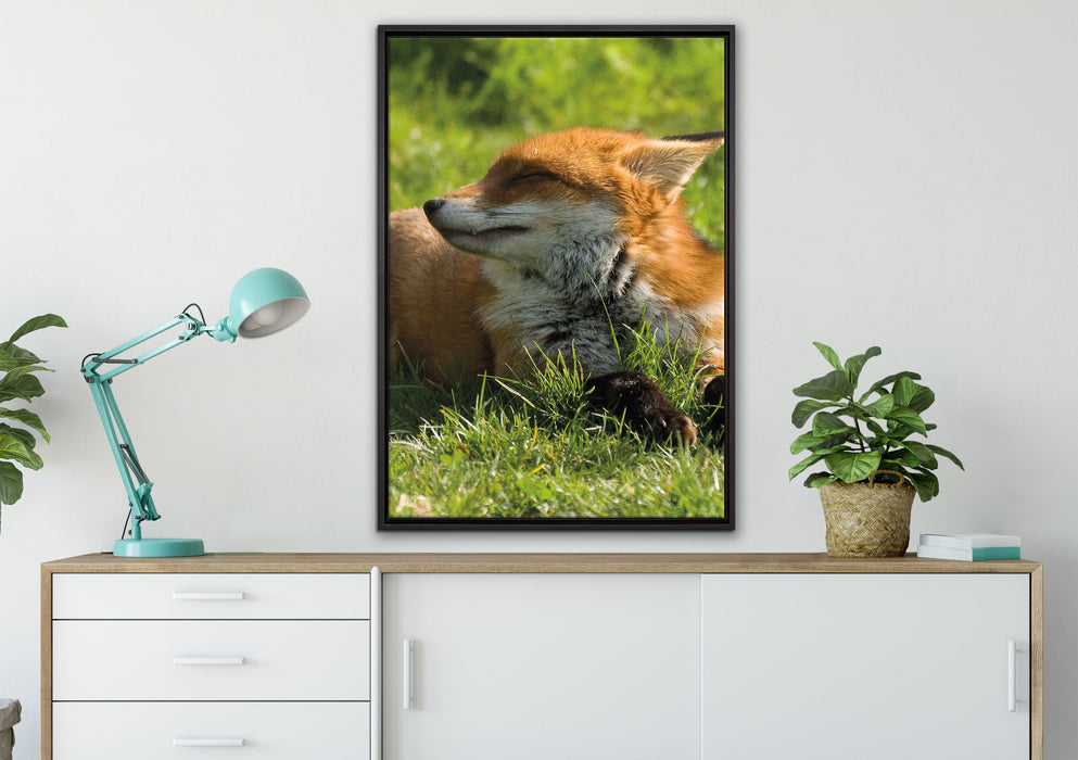 Fuchs im Gras auf Leinwandbild gerahmt verschiedene Größen im Wohnzimmer