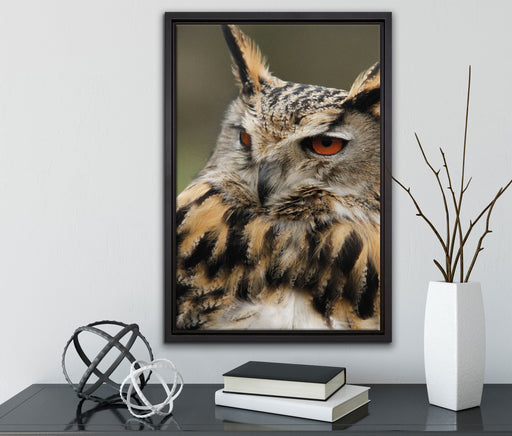 Eule auf Ast auf Leinwandbild gerahmt mit Kirschblüten