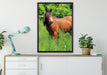 Braunes Pferd auf Wiese auf Leinwandbild gerahmt verschiedene Größen im Wohnzimmer