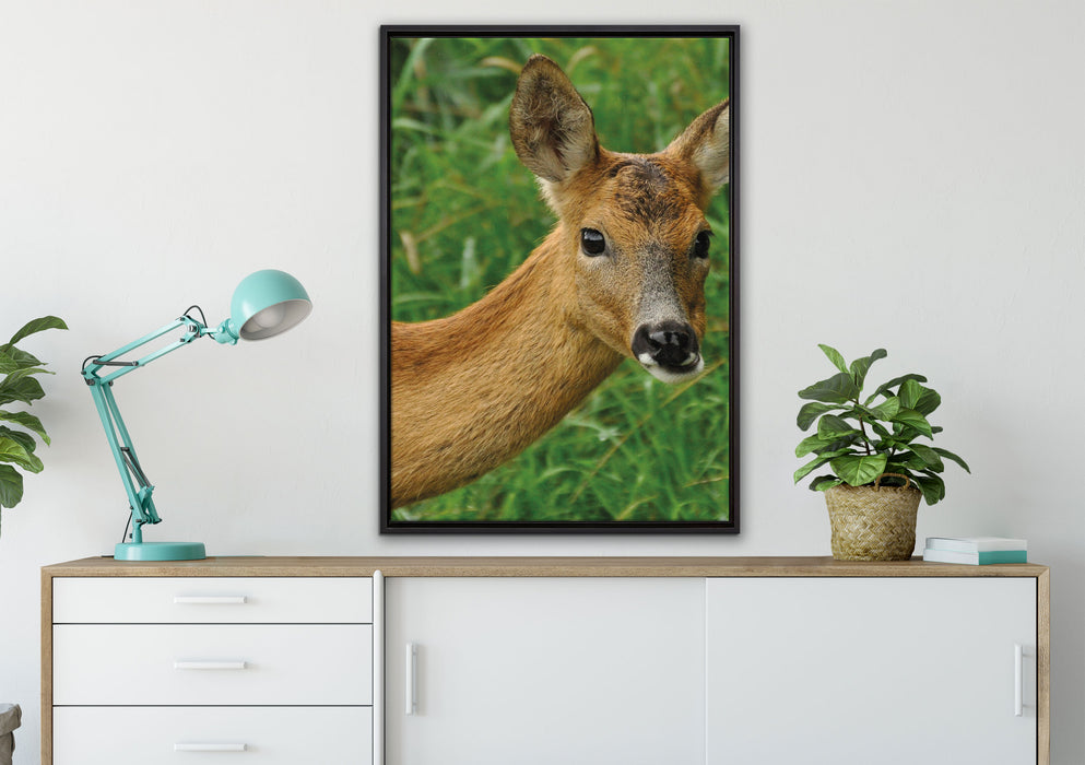 scheues Reh auf Leinwandbild gerahmt verschiedene Größen im Wohnzimmer