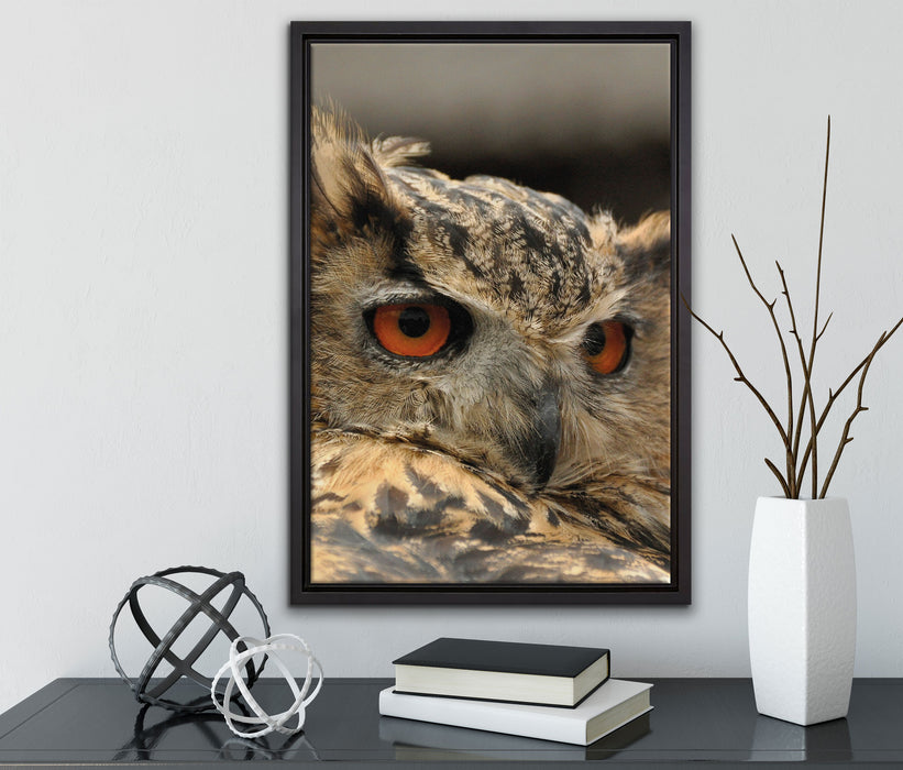 Eule auf Leinwandbild gerahmt mit Kirschblüten