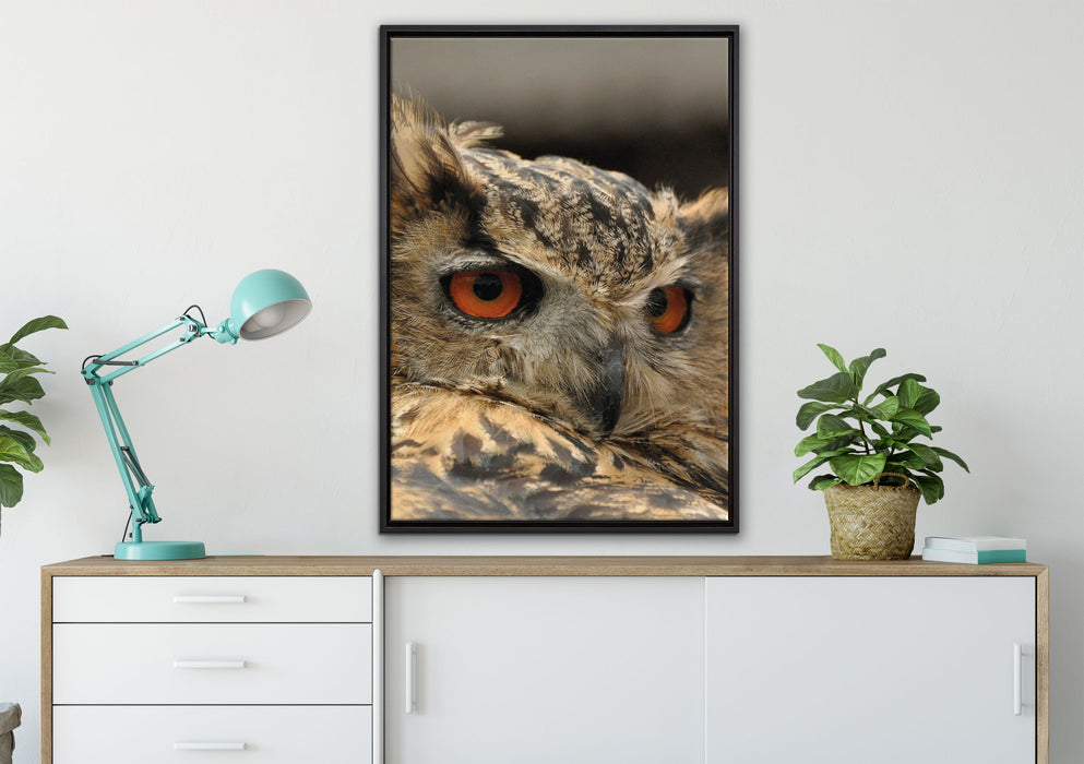 Eule auf Leinwandbild gerahmt verschiedene Größen im Wohnzimmer