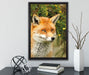 aufschauender Fuchs auf Leinwandbild gerahmt mit Kirschblüten