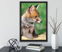 junger Fuchs auf Leinwandbild gerahmt mit Kirschblüten