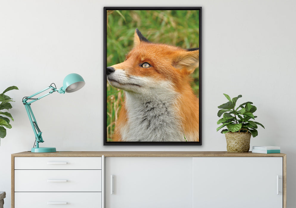 Fuchs auf Wiese auf Leinwandbild gerahmt verschiedene Größen im Wohnzimmer