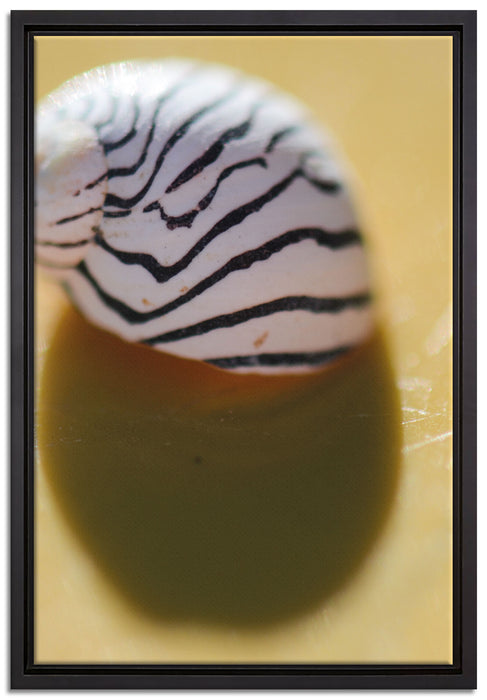 kleines gestreiftes Schneckenhaus auf Leinwandbild gerahmt Größe 60x40