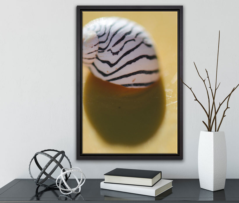 kleines gestreiftes Schneckenhaus auf Leinwandbild gerahmt mit Kirschblüten