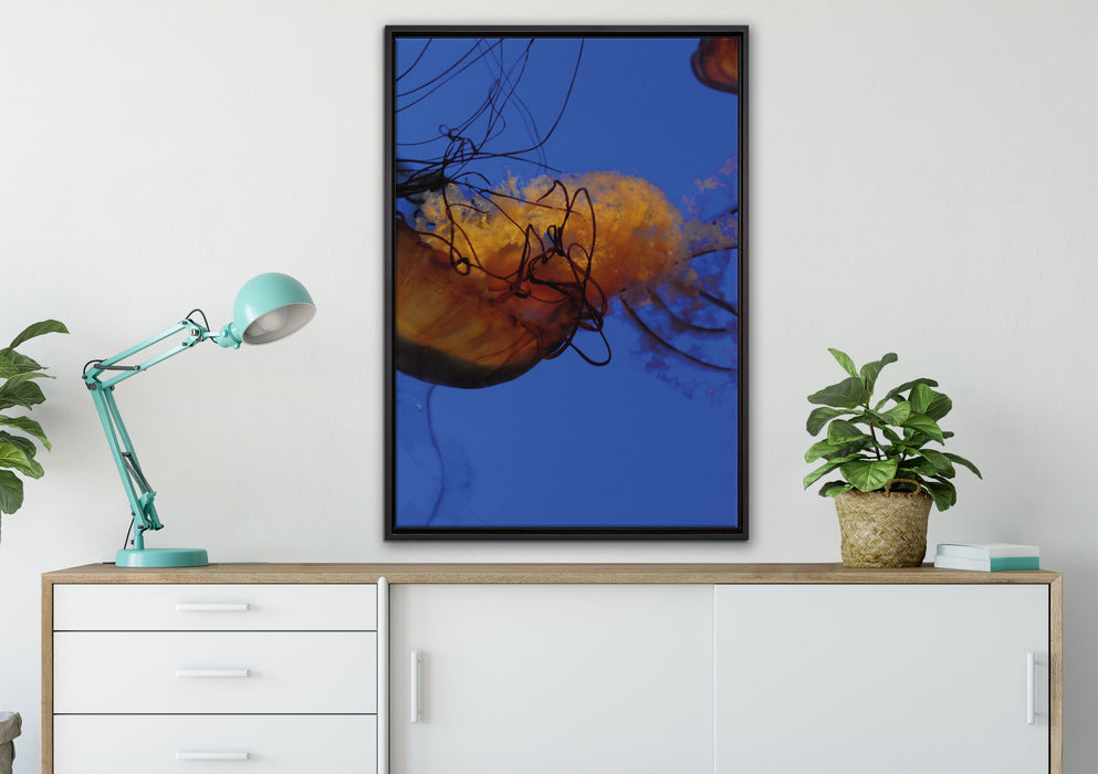 anmutige Qualle im Wasser auf Leinwandbild gerahmt verschiedene Größen im Wohnzimmer