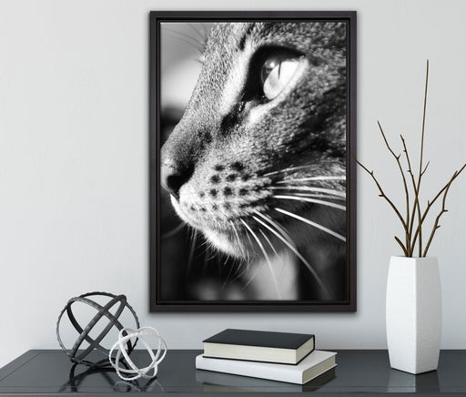 anmutige Katze im Seitenprofil auf Leinwandbild gerahmt mit Kirschblüten