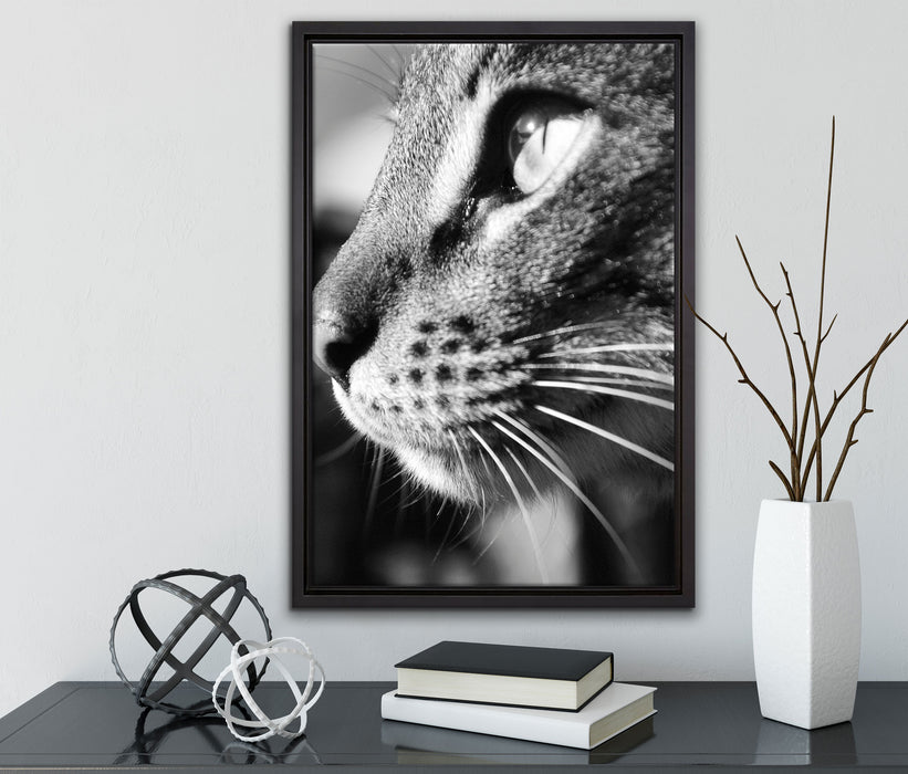 anmutige Katze im Seitenprofil auf Leinwandbild gerahmt mit Kirschblüten