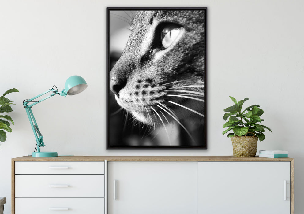 anmutige Katze im Seitenprofil auf Leinwandbild gerahmt verschiedene Größen im Wohnzimmer
