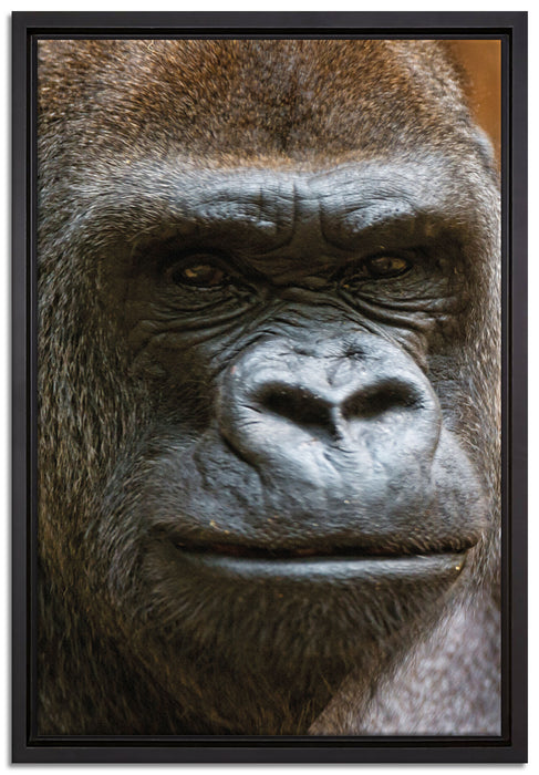 stolzer Gorilla auf Leinwandbild gerahmt Größe 60x40