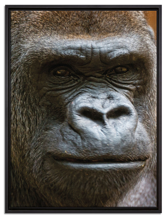 stolzer Gorilla auf Leinwandbild gerahmt Größe 80x60