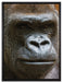 stolzer Gorilla auf Leinwandbild gerahmt Größe 80x60