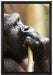 Gorilla isst auf Leinwandbild gerahmt Größe 60x40