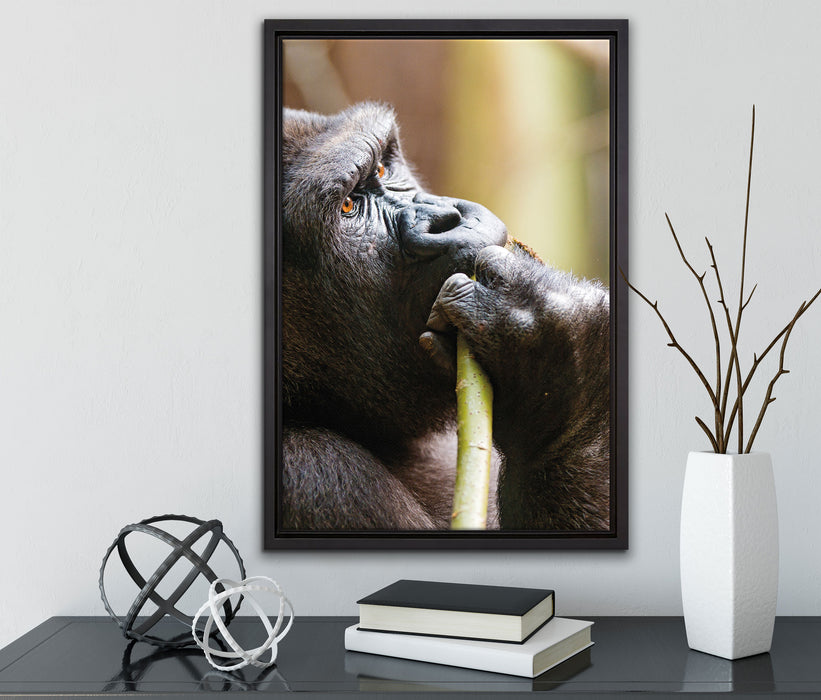 Gorilla isst auf Leinwandbild gerahmt mit Kirschblüten