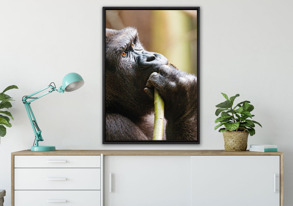 Gorilla isst auf Leinwandbild gerahmt verschiedene Größen im Wohnzimmer
