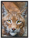 wachsamer Luchs auf Leinwandbild gerahmt Größe 80x60