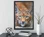 wachsamer Luchs auf Leinwandbild gerahmt mit Kirschblüten