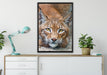 wachsamer Luchs auf Leinwandbild gerahmt verschiedene Größen im Wohnzimmer