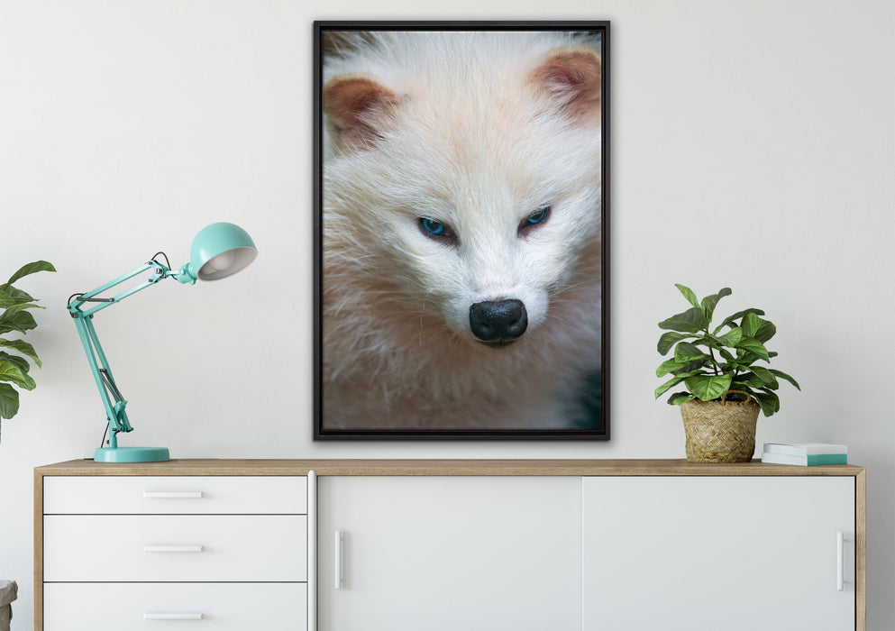 kleiner Polarfuchs auf Leinwandbild gerahmt verschiedene Größen im Wohnzimmer