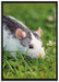 Maus auf Wiese auf Leinwandbild gerahmt Größe 100x70