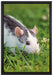 Maus auf Wiese auf Leinwandbild gerahmt Größe 60x40