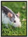 Maus auf Wiese auf Leinwandbild gerahmt Größe 80x60