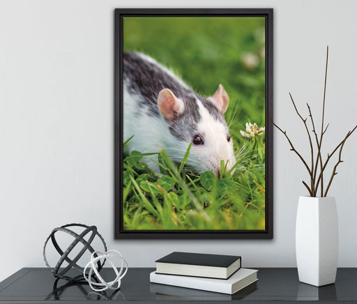 Maus auf Wiese auf Leinwandbild gerahmt mit Kirschblüten