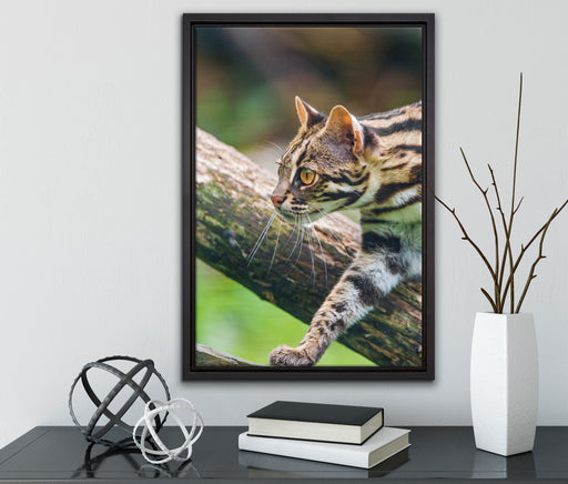 stolzierende Marmorkatze auf Leinwandbild gerahmt mit Kirschblüten