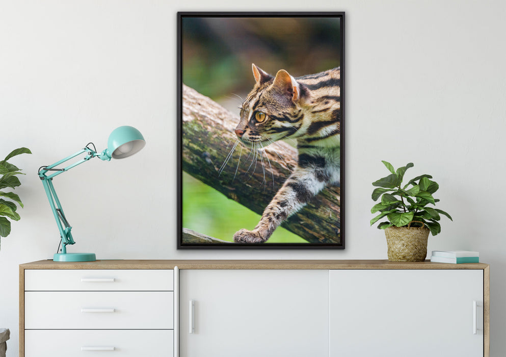 stolzierende Marmorkatze auf Leinwandbild gerahmt verschiedene Größen im Wohnzimmer