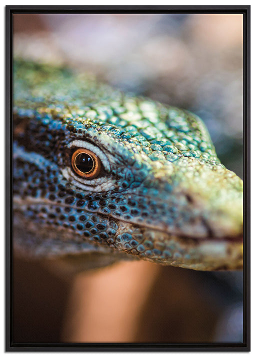 farbenfroher Waran auf Leinwandbild gerahmt Größe 100x70