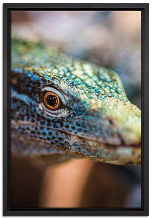 farbenfroher Waran auf Leinwandbild gerahmt Größe 60x40