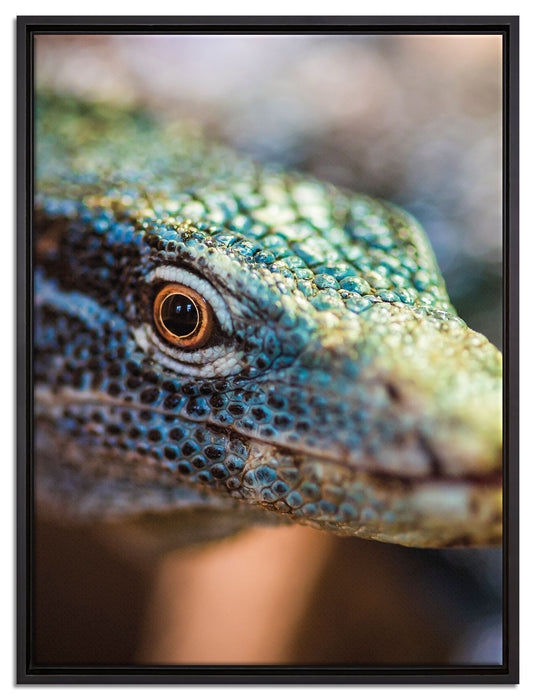 farbenfroher Waran auf Leinwandbild gerahmt Größe 80x60