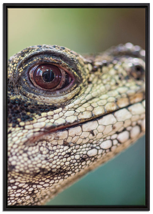 großer Schuppenwaran auf Leinwandbild gerahmt Größe 100x70