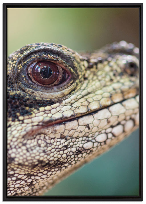 großer Schuppenwaran auf Leinwandbild gerahmt Größe 100x70