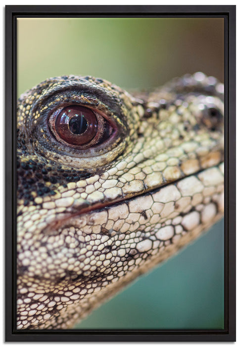 großer Schuppenwaran auf Leinwandbild gerahmt Größe 60x40