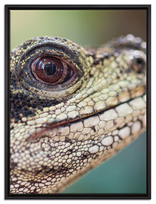 großer Schuppenwaran auf Leinwandbild gerahmt Größe 80x60