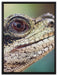 großer Schuppenwaran auf Leinwandbild gerahmt Größe 80x60