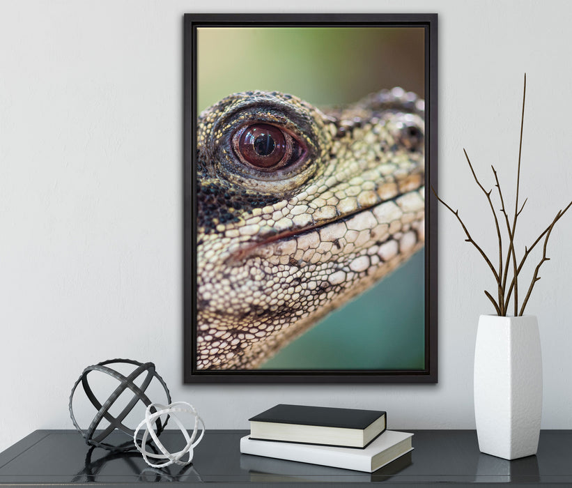 großer Schuppenwaran auf Leinwandbild gerahmt mit Kirschblüten