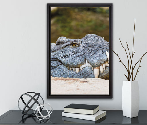 gigantisches Krokodil auf Leinwandbild gerahmt mit Kirschblüten