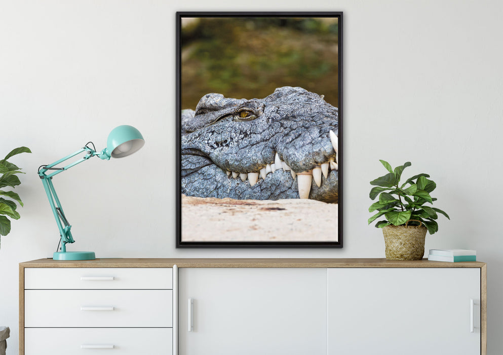 gigantisches Krokodil auf Leinwandbild gerahmt verschiedene Größen im Wohnzimmer