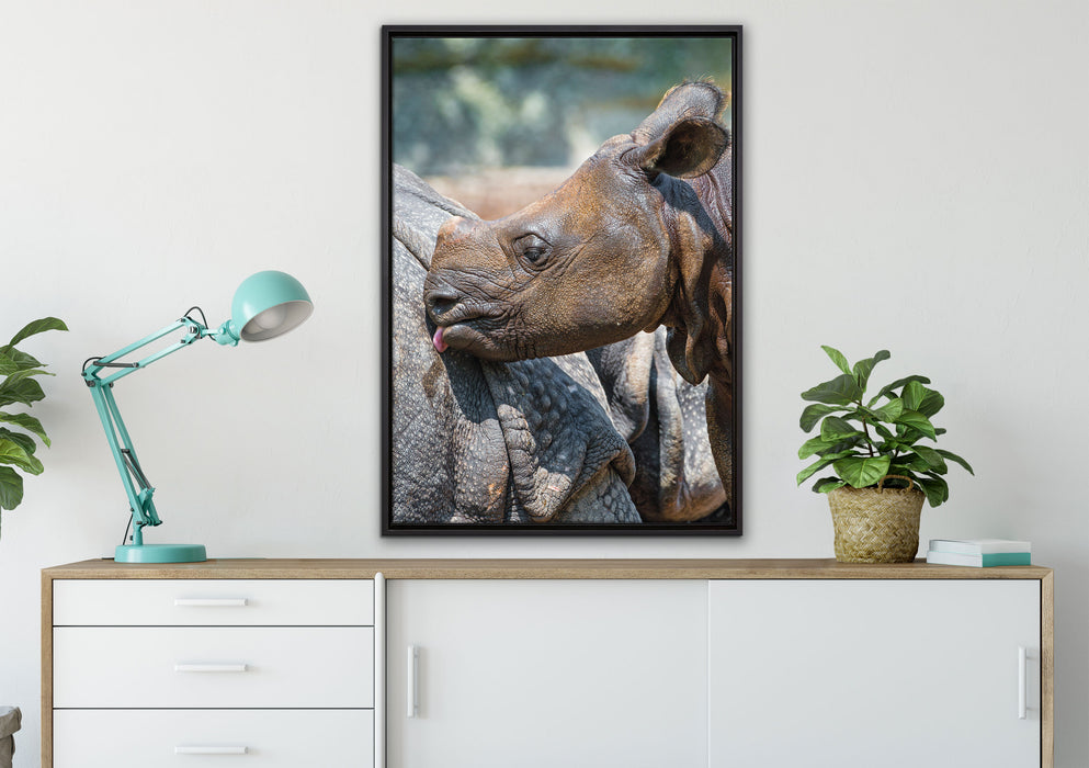 junges Nashorn auf Leinwandbild gerahmt verschiedene Größen im Wohnzimmer