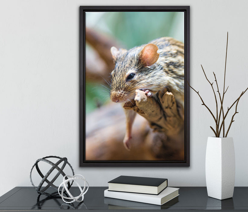 ruhende Feldmaus auf Leinwandbild gerahmt mit Kirschblüten