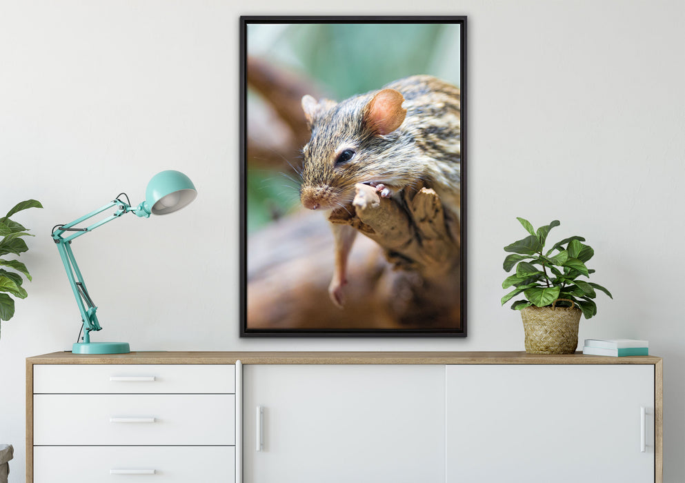 ruhende Feldmaus auf Leinwandbild gerahmt verschiedene Größen im Wohnzimmer