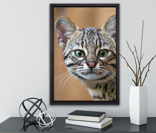 kleine Bengalkatze auf Leinwandbild gerahmt mit Kirschblüten