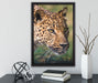 schleichender Leopard auf Leinwandbild gerahmt mit Kirschblüten